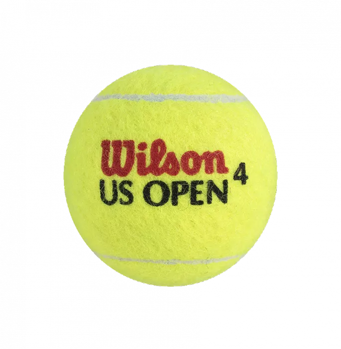 Bjorn Borg Signed US Open Tennis Ball In Acrylic Case