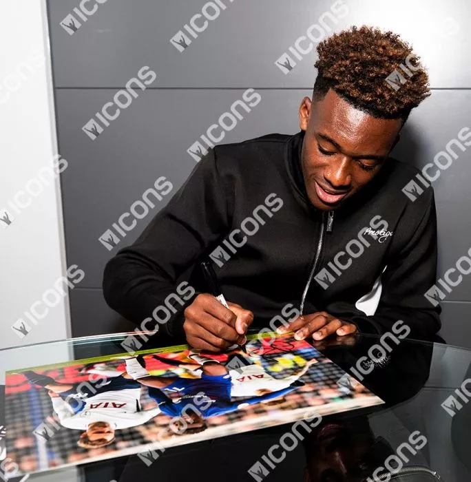 Callum Hudson-Odoi Signed Chelsea Photo: Premier League Rising Star