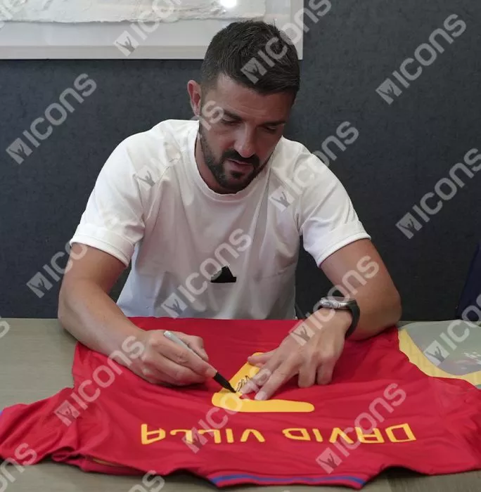David Villa Back Signed Spain 2010 Home Shirt In Classic Frame