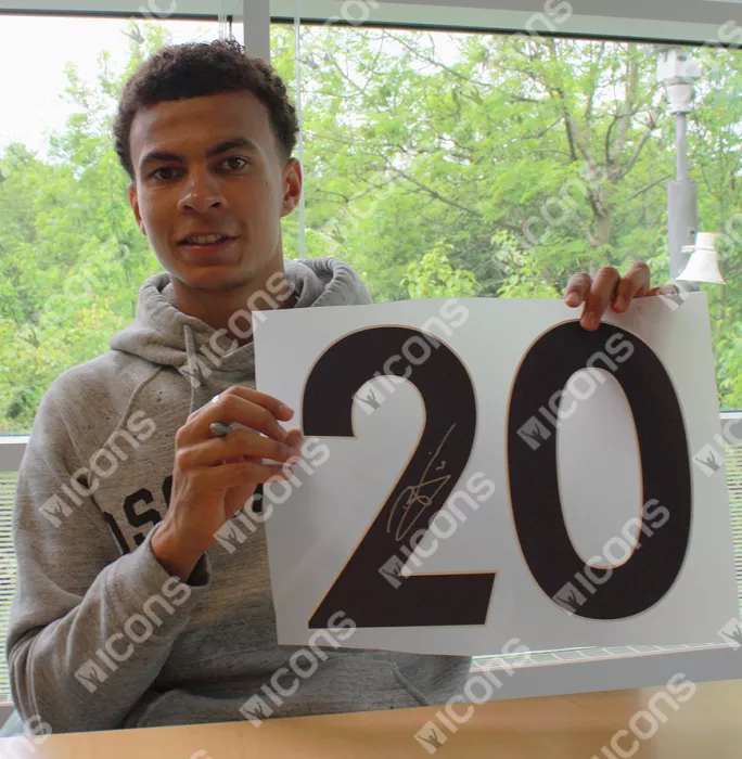 Dele Alli Back Signed Tottenham Hotspur 2017-18 Home Shirt With Fan Style Numbers
