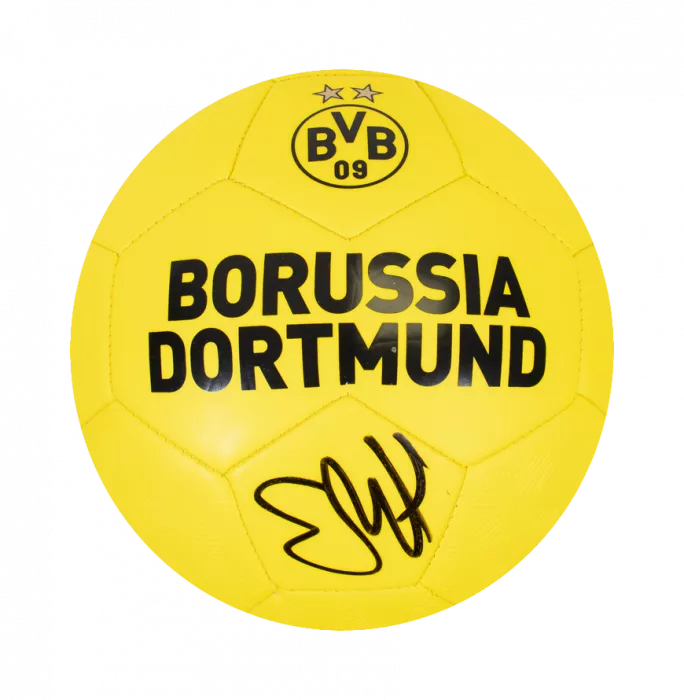 Erling Haaland Signed Borussia Dortmund Branded Football In Acrylic Case