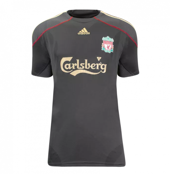 Fernando Torres Back Signed Liverpool FC 2009-10 Away Shirt