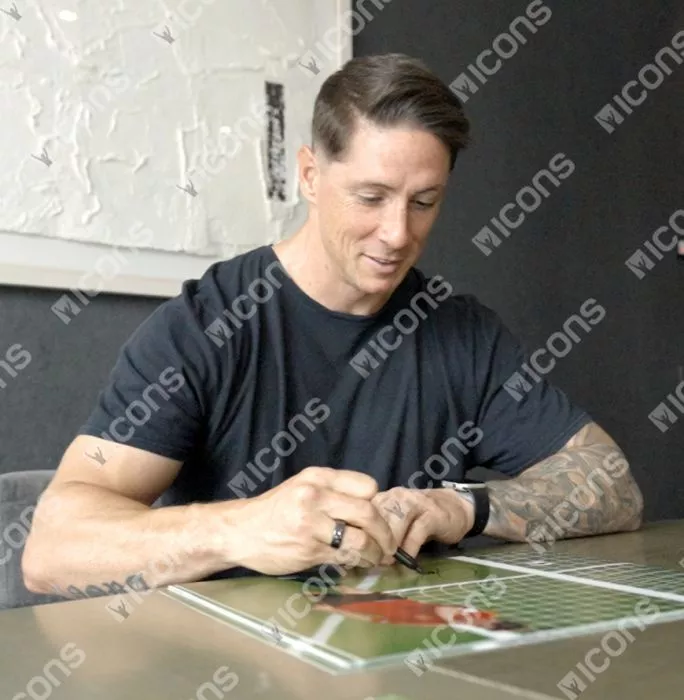 Fernando Torres Signed Spain Photo In Premium Photo Frame: UEFA EURO 2008 Final Goal