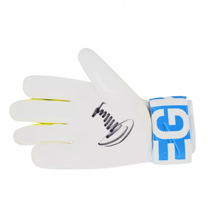 Jerzy Dudek Signed Blue & White Nike Glove