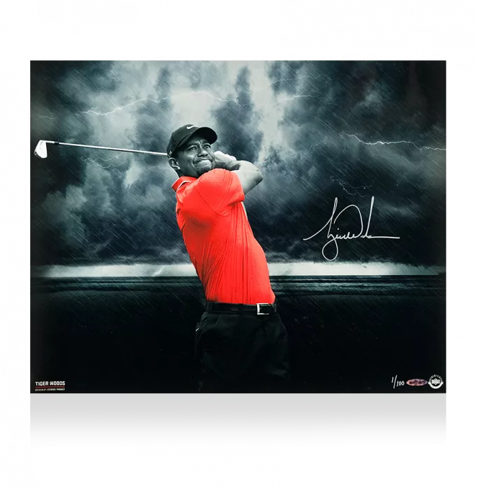 Tiger Woods Signed Photo: Quiet Storm