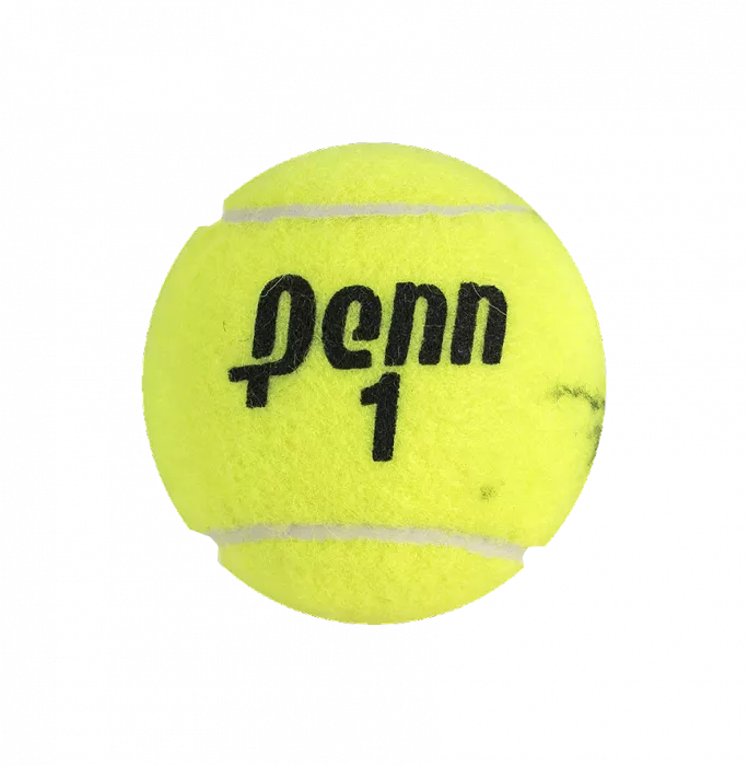 Martina Hingis Signed Penn Tennis Ball In Acrylic Case