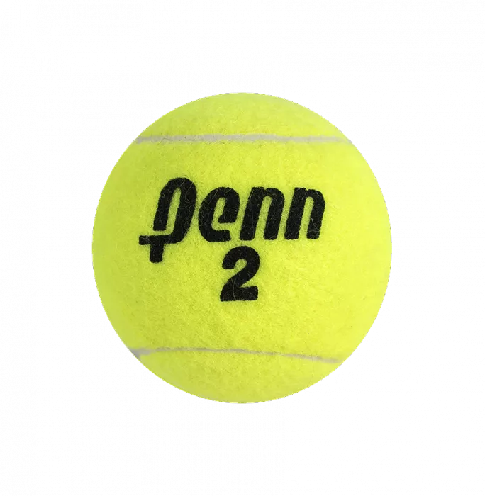Martina Hingis Signed Penn Tennis Ball In Acrylic Case