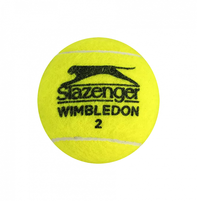 Martina Navratilova Signed Wimbledon Tennis Ball In Acrylic Case
