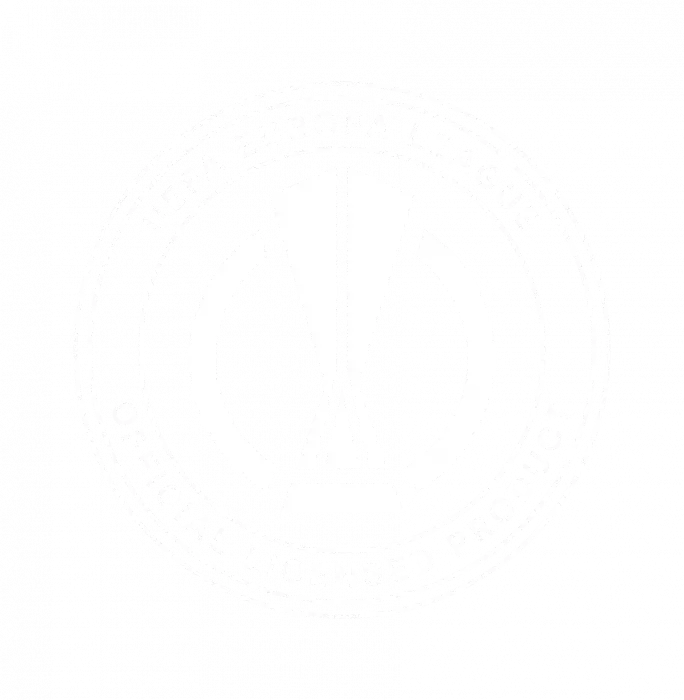 MATCH USED Official UEFA Europa League Framed Goal Net: 2021 UEL Final