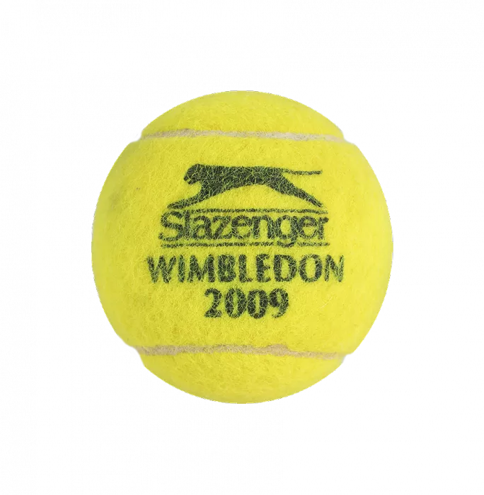 MATCH USED Roger Federer Signed 2009 Wimbledon Tennis Ball In Acrylic Case