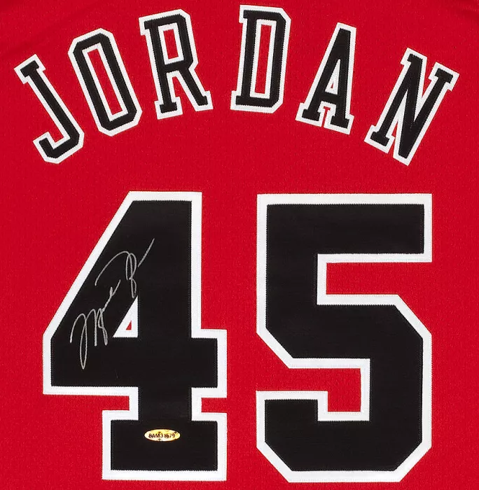 Michael Jordan Back Signed Chicago Bulls 1995 Jersey: Mitchell & Ness Edition