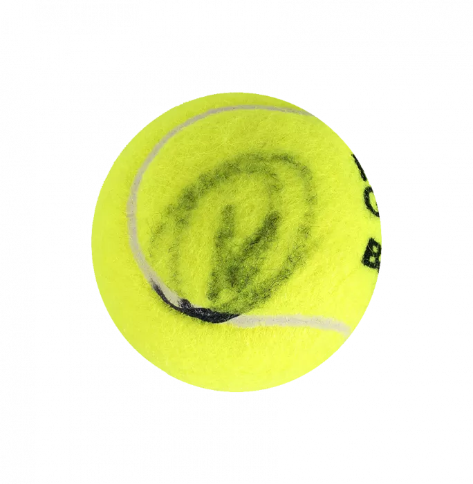Novak Djokovic Signed Roland Garros Tennis Ball In Acrylic Case