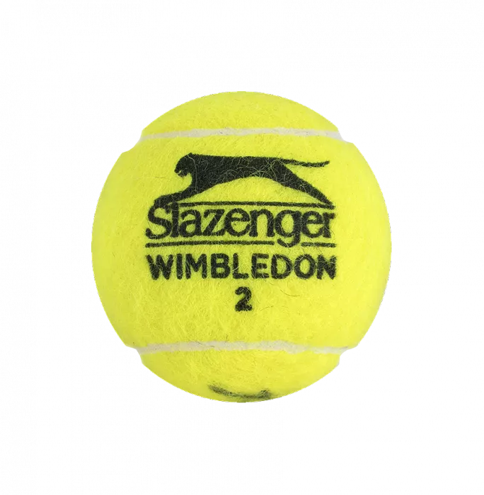 Pete Sampras & Andre Agassi Signed Wimbledon Tennis Ball In Acrylic Case