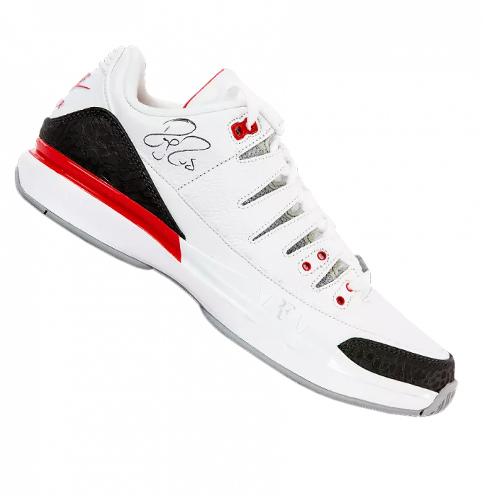 Roger Federer Signed Nike Zoom Vapor RF X Air Jordan 3 Tennis Shoe In Acrylic Case