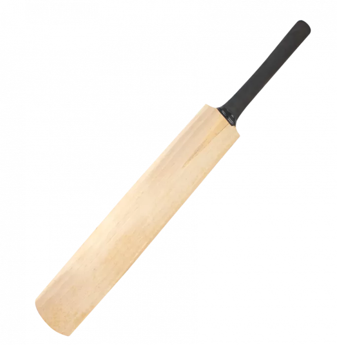 Sachin Tendulkar Signed Cricket Bat: "The Little Master"