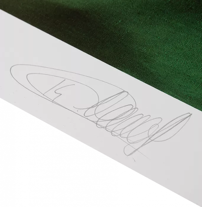 Thierry Henry Special Arsenal Print: Gunners Icon