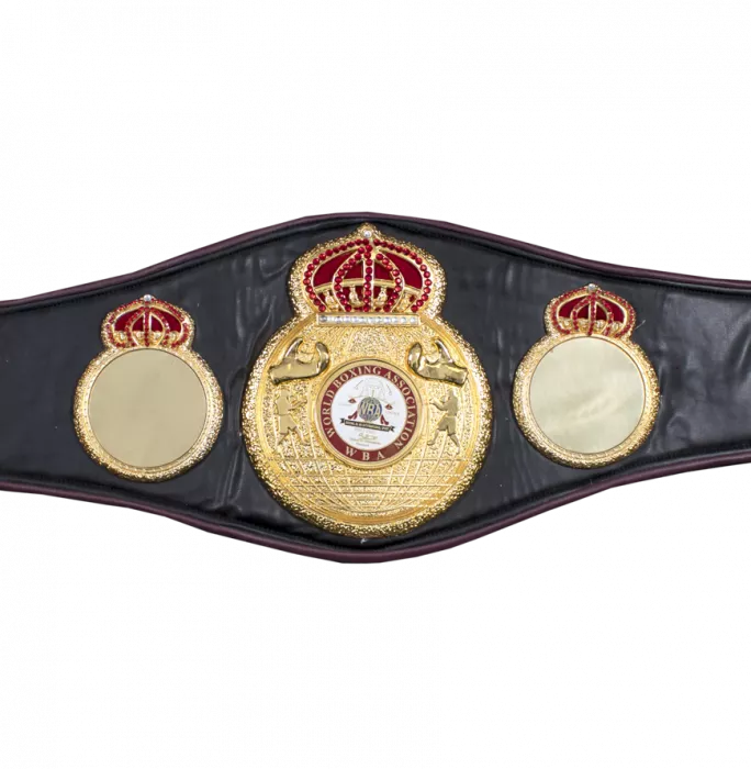 Tyson Fury Signed Boxing Belt: WBA World Title