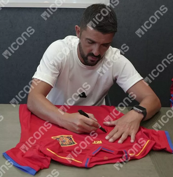 Xabi Alonso And David Villa Official 2010 FIFA World Cup™ Signed And Framed Spain 2010 Home Shirt
