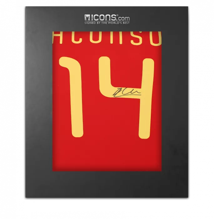 Xabi Alonso Back Signed Spain 2010 Home Shirt In Deluxe Packaging