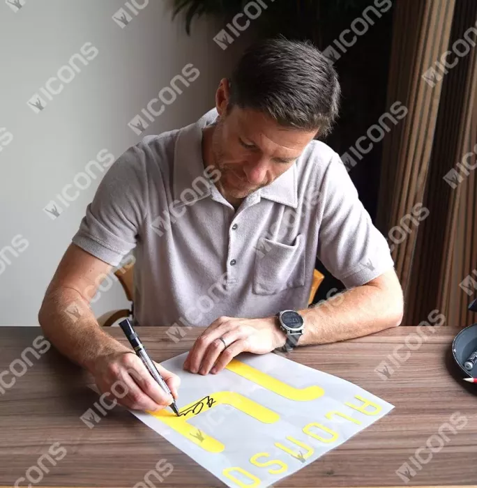 Xabi Alonso Back Signed Spain 2010 Home Shirt In Hero Frame: Option 1